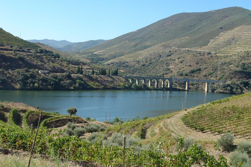 Quinta Vale De Carvalho Casa de hóspedes Pinhal do Douro Exterior foto