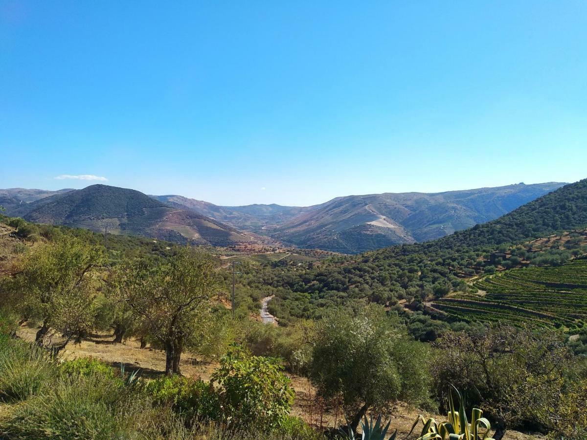 Quinta Vale De Carvalho Casa de hóspedes Pinhal do Douro Exterior foto